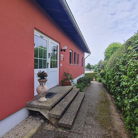 Apartment Neuweiher Daisendorf エクステリア 写真